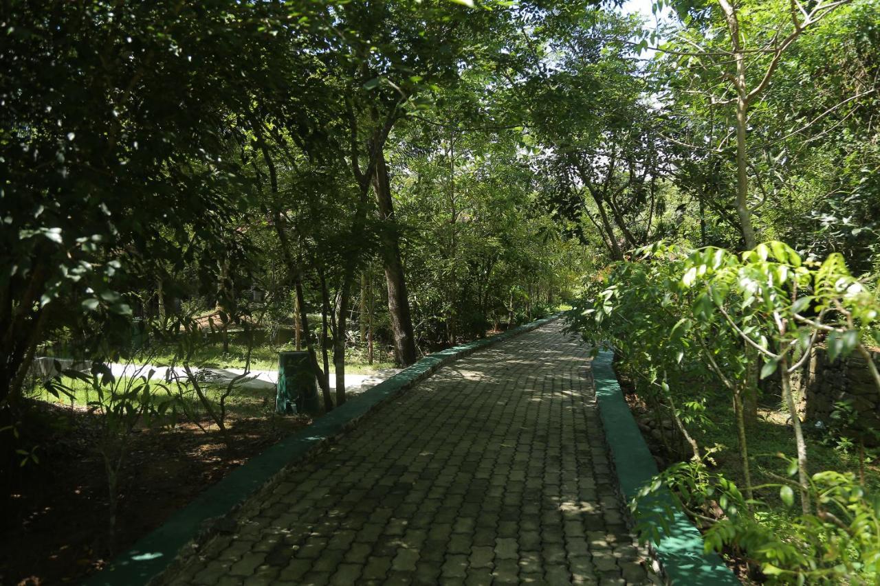 Laluna Ayurveda Resort Μπεντότα Εξωτερικό φωτογραφία